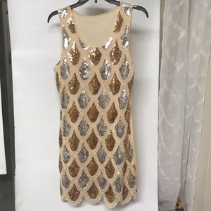 Gold and Silver sequin dress